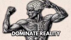 How to Develop the “Predator Mindset” to Stay Ahead Instantly (No BS Guide)