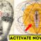 Learn to Manipulate Your Consciousness (To Change Your Reality Permanently)