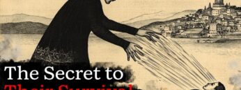 The Book That Reveals Life’s Biggest Illusion – no bs