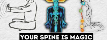 Your SPINE Is Responsible For ALL Spiritual Growth (NO BS guide)