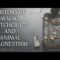 AUDIOBOOK – An History of Magic, Witchcraft, and Animal Magnetism by J.C. Colquhoun