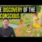 How ancient Indians discovered the Unconscious (Upanishads 700BC)