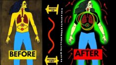 Learn To Master YOUR INVISIBLE FORCES of Existence – CLEAR All Energy Blockages