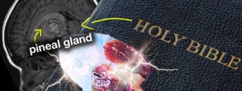 OMG! The Bible gives PRECISE INSTRUCTIONS about the PINEAL GLAND