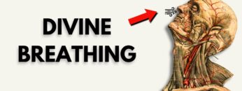 Once YOU BREATHE Like This TRANSITION HAPPENS INSTANTLY