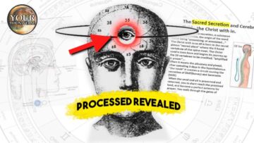 The Sacred Secret – “It’s time to activate your God Self” | Pineal Gland Activation