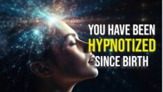 Why Should You Awaken? | Conversations with the Universe