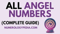 All Angel Numbers | The Secrets of All Angel Numbers in 1 Video [ NUMEROLOGY SECRETS ]