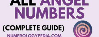 All Angel Numbers | The Secrets of All Angel Numbers in 1 Video [ NUMEROLOGY SECRETS ]