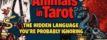 Animals in Tarot: The Hidden Language You’re Probably Ignoring