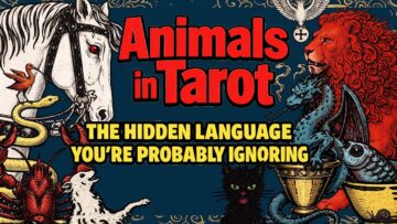 Animals in Tarot: The Hidden Language You’re Probably Ignoring