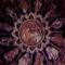 Awakening Your 7 Spiritual Centers – Edgar Cayce