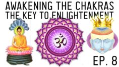 Awakening Your Crown Chakra: The Secret to Higher Consciousness (Ep. 8)