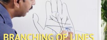 Branching of Lines in Hand | Palmistry