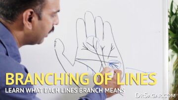 Branching of Lines in Hand | Palmistry