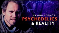 Can Psychedelics Reveal the Nature of Reality? | David Luke | Waking Cosmos