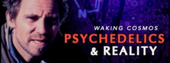 Can Psychedelics Reveal the Nature of Reality? | David Luke | Waking Cosmos