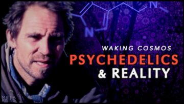 Can Psychedelics Reveal the Nature of Reality? | David Luke | Waking Cosmos