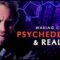 Can Psychedelics Reveal the Nature of Reality? | David Luke | Waking Cosmos