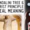 Christ Is Not A Person: Real Meaning of Christmas & Christ Consciousness