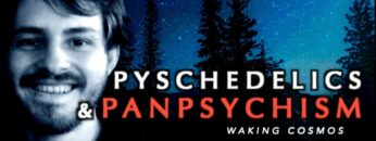 Consciousness, DMT, and Panpsychism | Andrés Gómez Emilsson