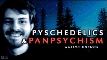 Consciousness, DMT, and Panpsychism | Andrés Gómez Emilsson