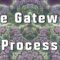 Deep Dive: The Gateway Process
