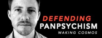 Defending Panpsychism | Philip Goff Ph.D. on Waking Cosmos