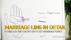 ✔ Different Types of MARRIAGE Lines | Palmistry & Palm Reading