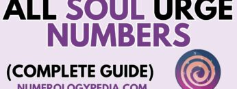 Discover All The Secrets About Soul Urge Number 1, 2, 3, 4, 5, 6, 7, 8, 9 [ AMAZING NUMEROLOGY! ]