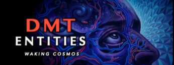 DMT Entities and Higher Dimensional States of Consciousness