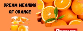 Dream meaning of orange: symbolize, spiritual significance