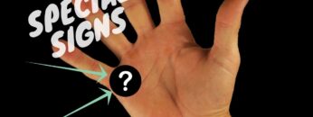Exceptional Money Making Signs On The Mount Of Mercury-Palmistry