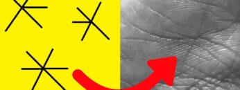 Extremely Lucky And Powerful Star Sign In Your Hands?-Palmistry