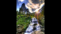 Glorious Life