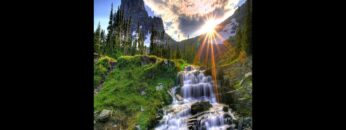 Glorious Life