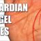 GUARDIAN ANGEL LINES Female Palm Reading || Palmistry #165
