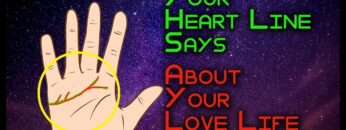 Heart line says about your love life | Effect of Branches, Forks and Island in  Heart Line