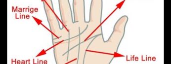 HOW TO READ YOUR OWN PALM LINES