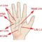 HOW TO READ YOUR OWN PALM LINES