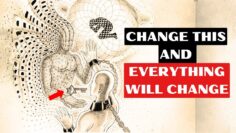 Learn How to Enter THIS STATE of HIGH VIBRATION and Change Your Reality