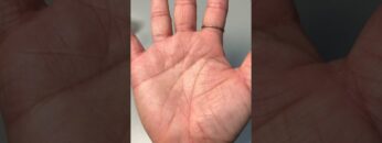 Learn to read your own palm || Palmistry