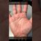 Learn to read your own palm || Palmistry