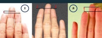 Length Of The Fingers And Your Personality-Palmistry