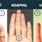 Length Of The Fingers And Your Personality-Palmistry