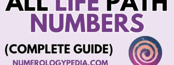 Life Path Numbers Explained | Step By Step Guide Divided in Chapters [Discover Your Destiny]