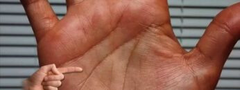 MONEY LINES:  PALM READING PALMISTRY #53