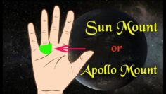 Most important sign on the palm | Apollo Mount | Sun Mount