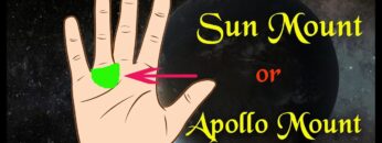 Most important sign on the palm | Apollo Mount | Sun Mount