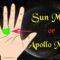 Most important sign on the palm | Apollo Mount | Sun Mount